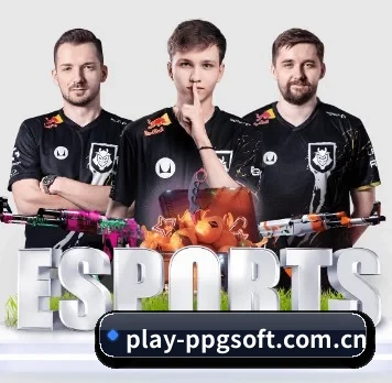 play-ppgsoft.com.cn APP